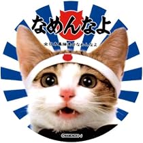 Amazon.co.jp: [なめ猫] なめんなよ ステッカー NAMENNAYO ST-A9